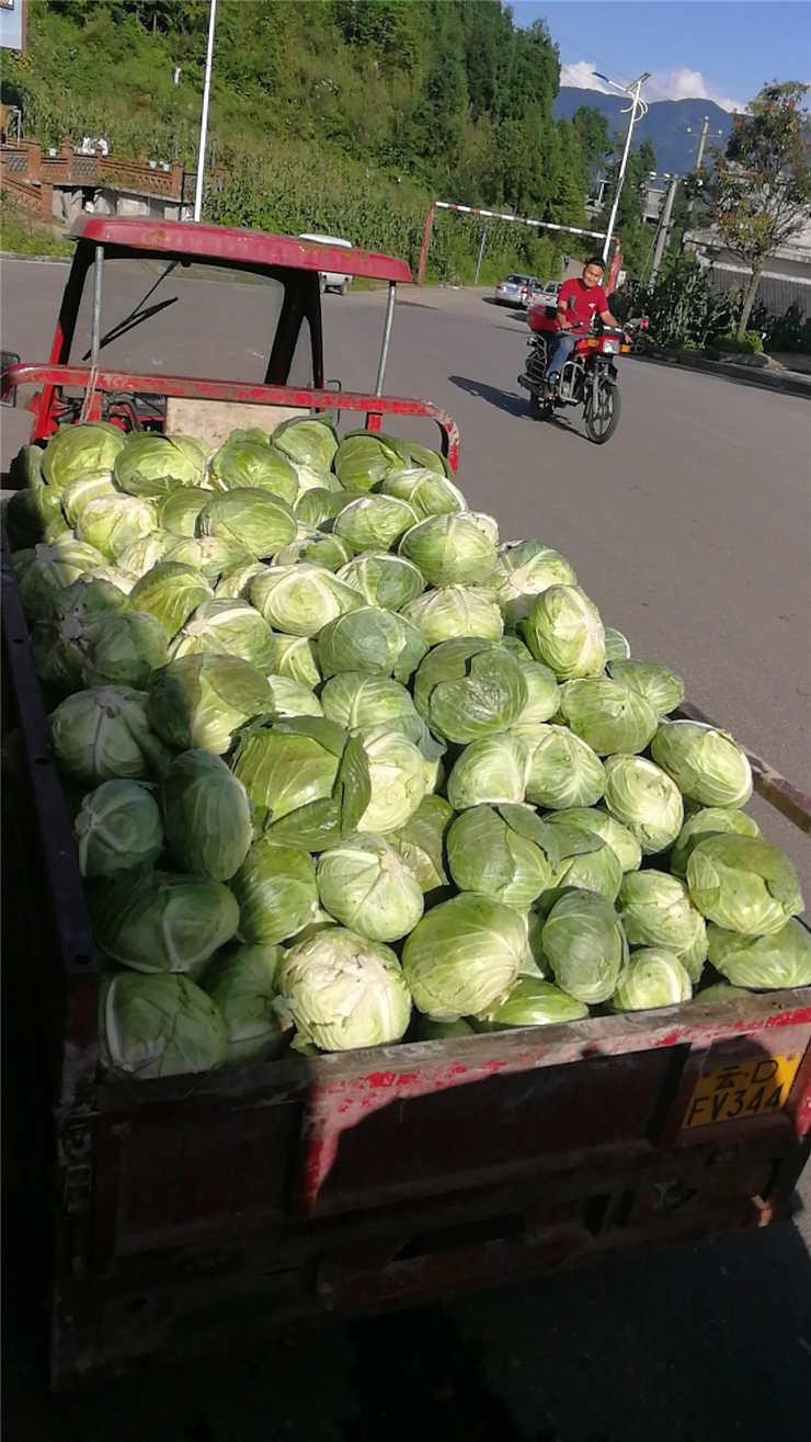 ��ҳ- �ڲ���������Ϊ��,רҵ����!