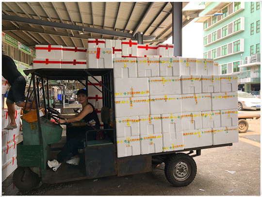 ��ҳ- �ڲ���������Ϊ��,רҵ����!