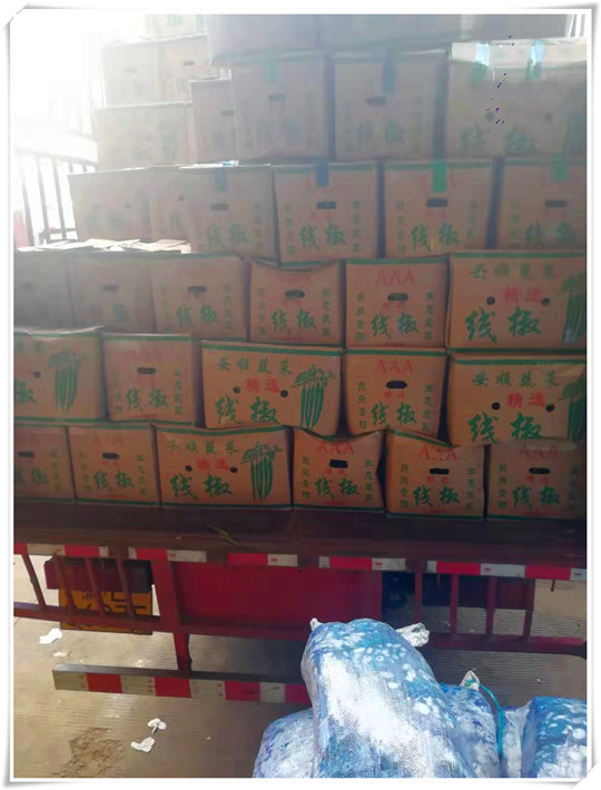 ��ҳ- �ڲ���������Ϊ��,רҵ����!