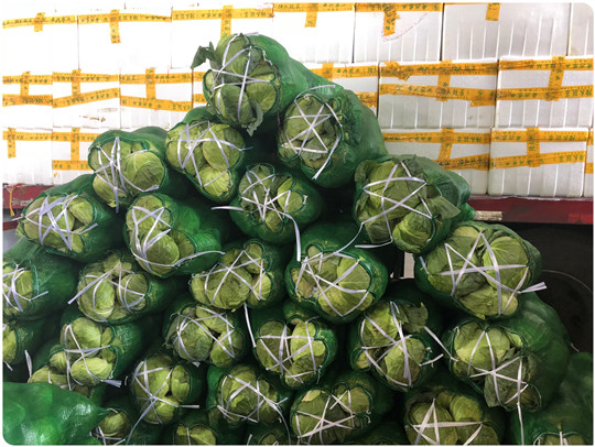 ��ҳ- �ڲ���������Ϊ��,רҵ����!