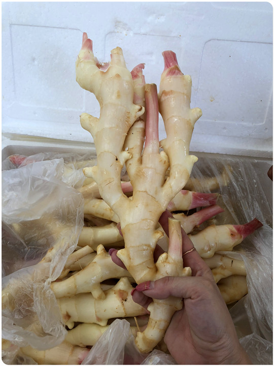 ��ҳ- �ڲ���������Ϊ��,רҵ����!