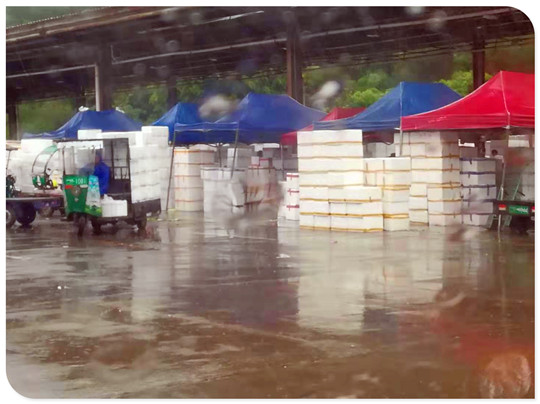 ��ҳ- �ڲ���������Ϊ��,רҵ����!