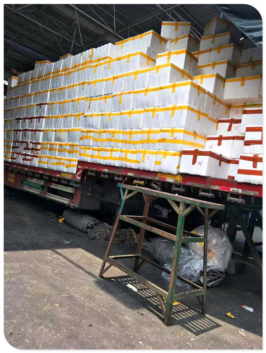 ��ҳ- �ڲ���������Ϊ��,רҵ����!