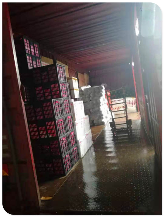 ��ҳ- �ڲ���������Ϊ��,רҵ����!