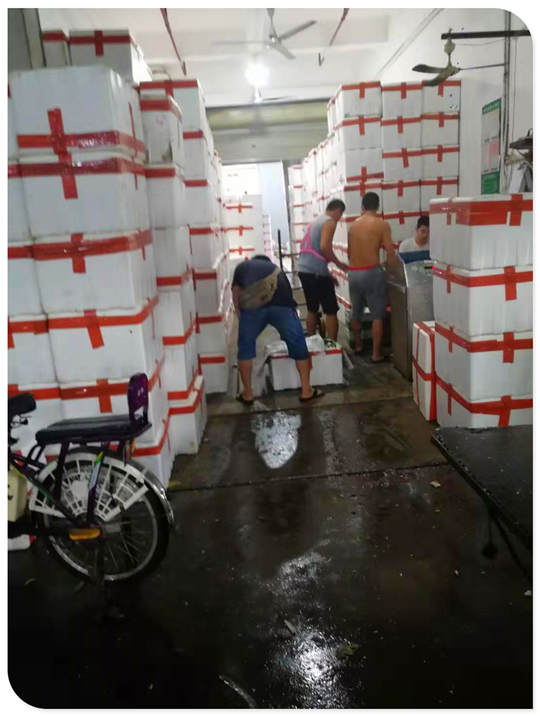 ��ҳ- �ڲ���������Ϊ��,רҵ����!