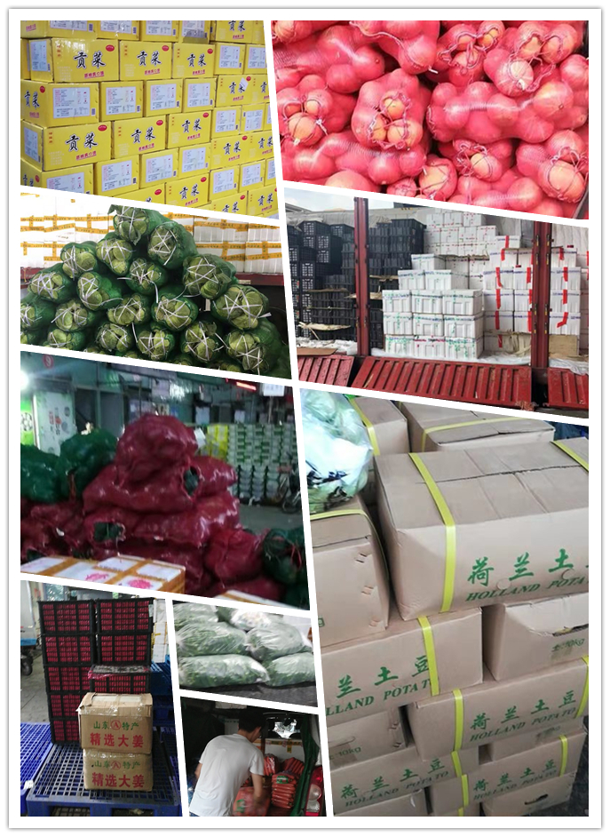 ��ҳ- �ڲ���������Ϊ��,רҵ����!