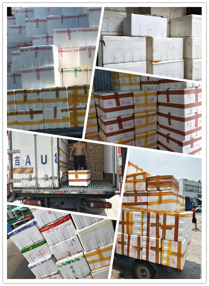 ��ҳ- �ڲ���������Ϊ��,רҵ����!