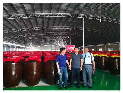 ��ҳ- �ڲ���������Ϊ��,רҵ����!