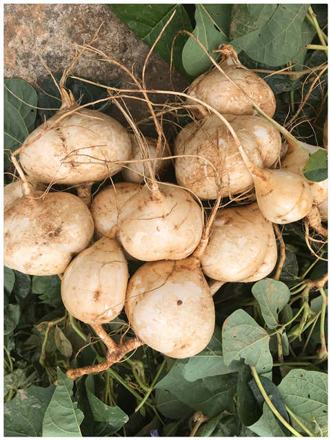 ��ҳ- �ڲ���������Ϊ��,רҵ����!