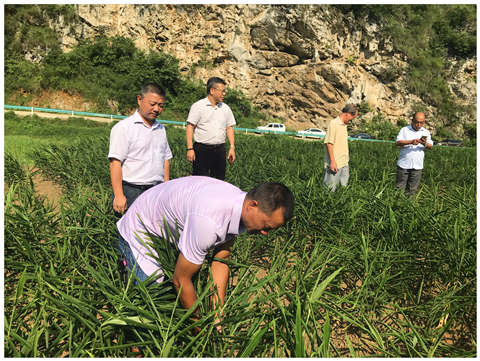 ��ҳ- �ڲ���������Ϊ��,רҵ����!