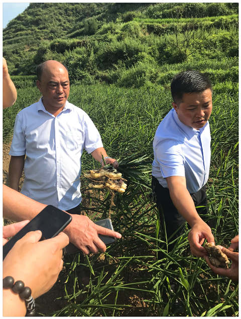 ��ҳ- �ڲ���������Ϊ��,רҵ����!