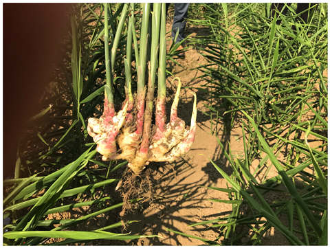 ��ҳ- �ڲ���������Ϊ��,רҵ����!