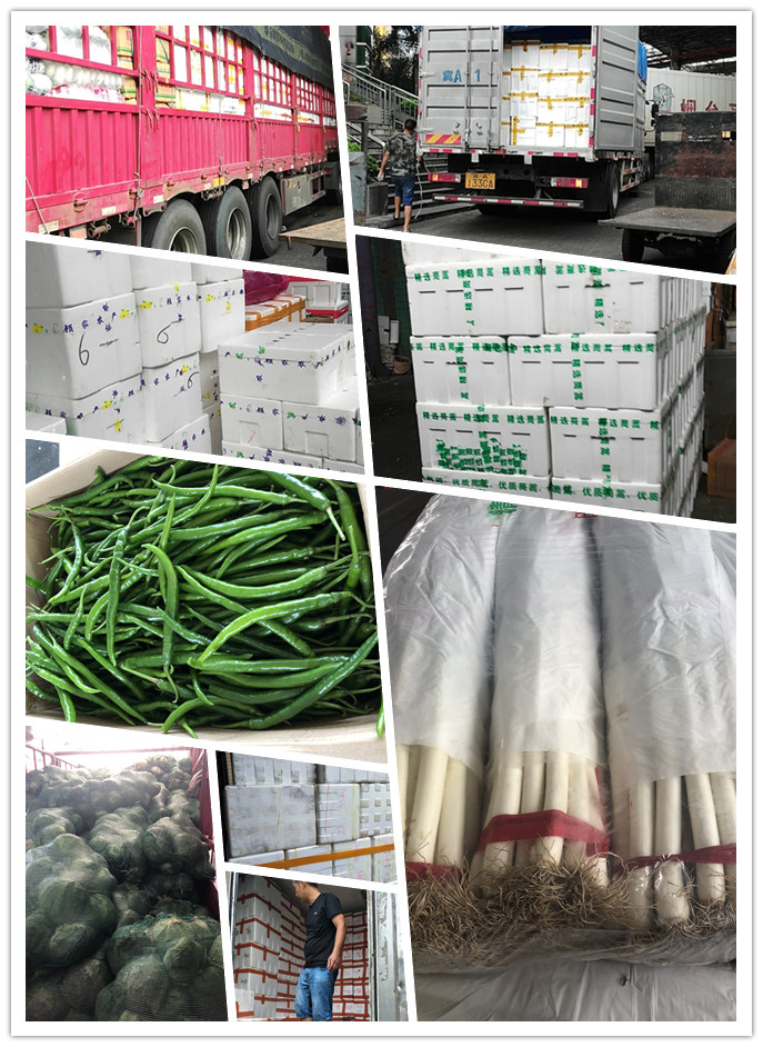 ��ҳ- �ڲ���������Ϊ��,רҵ����!