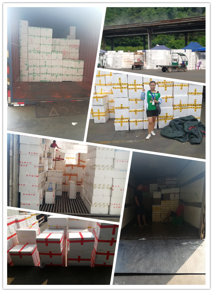 ��ҳ- �ڲ���������Ϊ��,רҵ����!