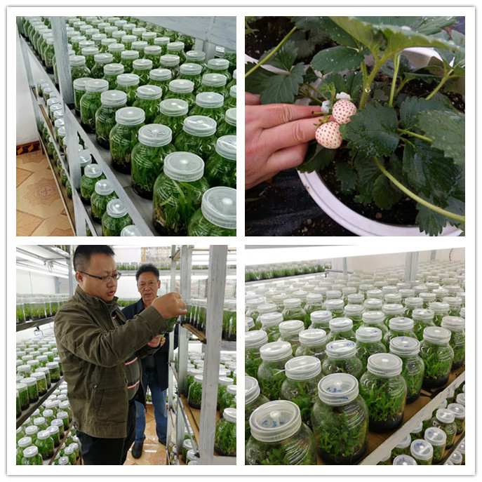 ��ҳ- �ڲ���������Ϊ��,רҵ����!