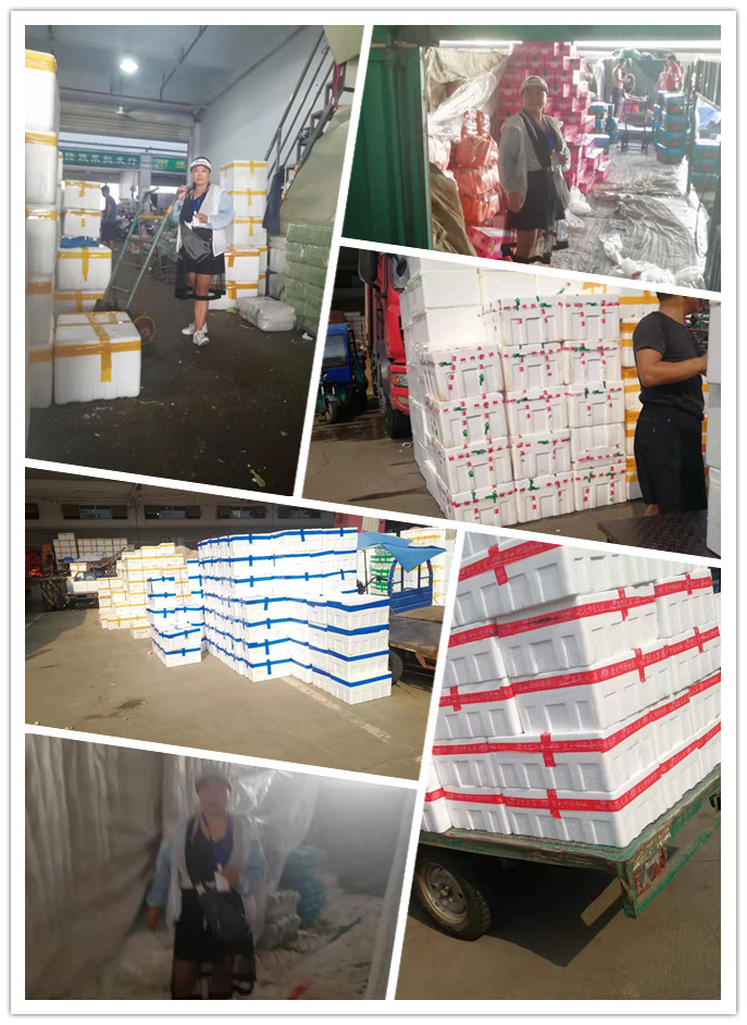 ��ҳ- �ڲ���������Ϊ��,רҵ����!