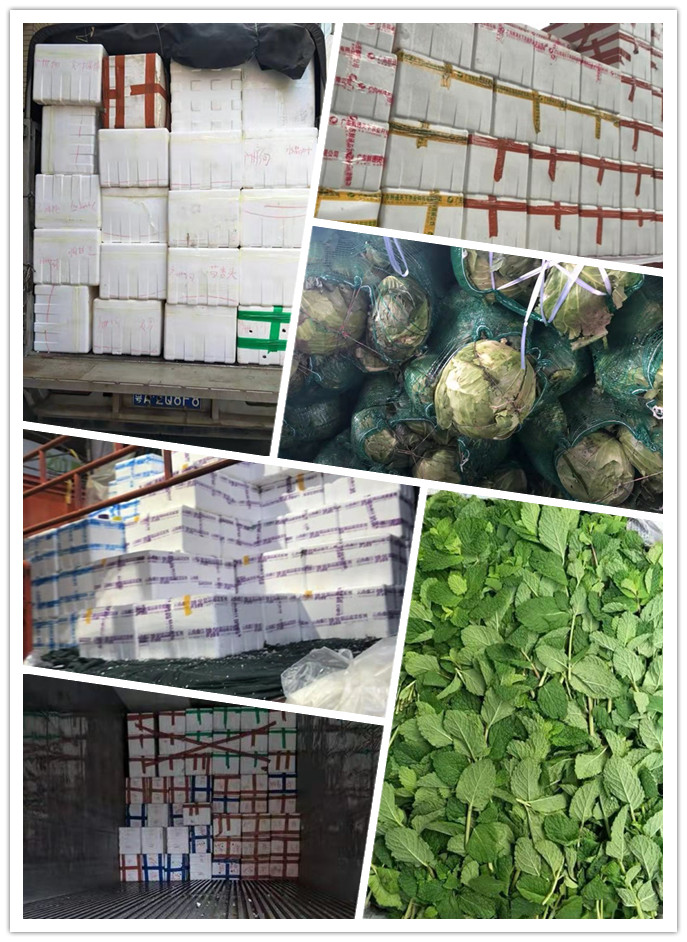 ��ҳ- �ڲ���������Ϊ��,רҵ����!