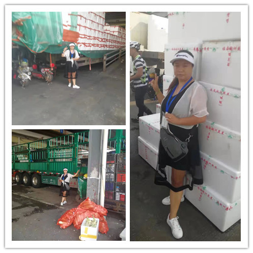 ��ҳ- �ڲ���������Ϊ��,רҵ����!