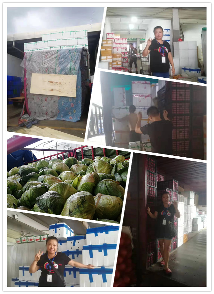 ��ҳ- �ڲ���������Ϊ��,רҵ����!