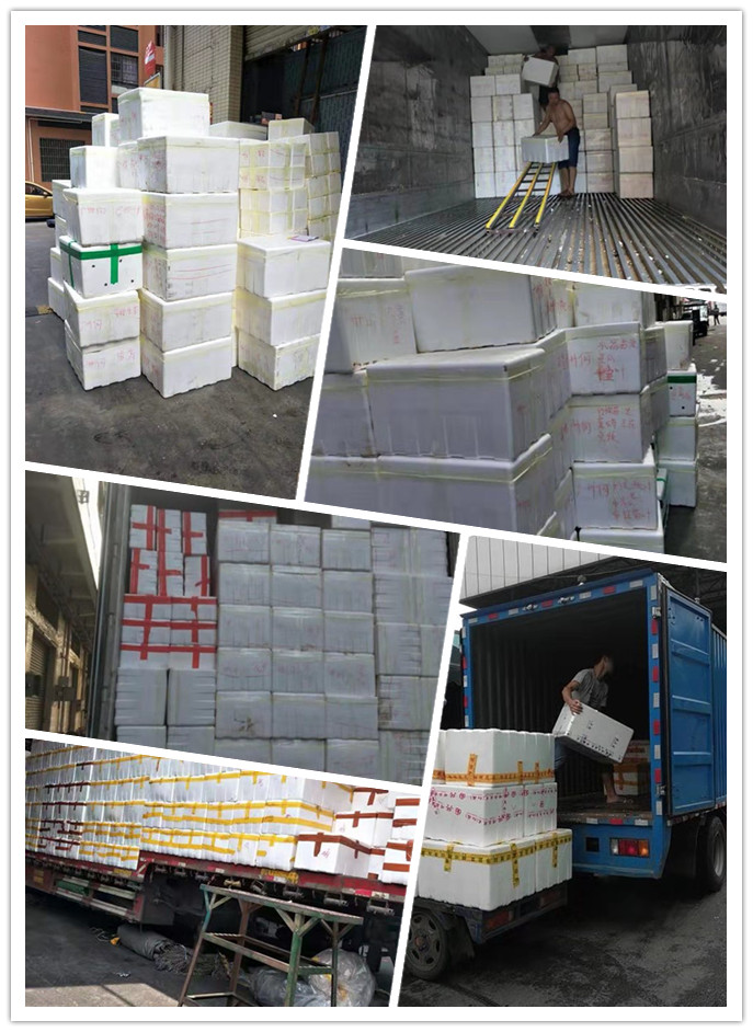 ��ҳ- �ڲ���������Ϊ��,רҵ����!