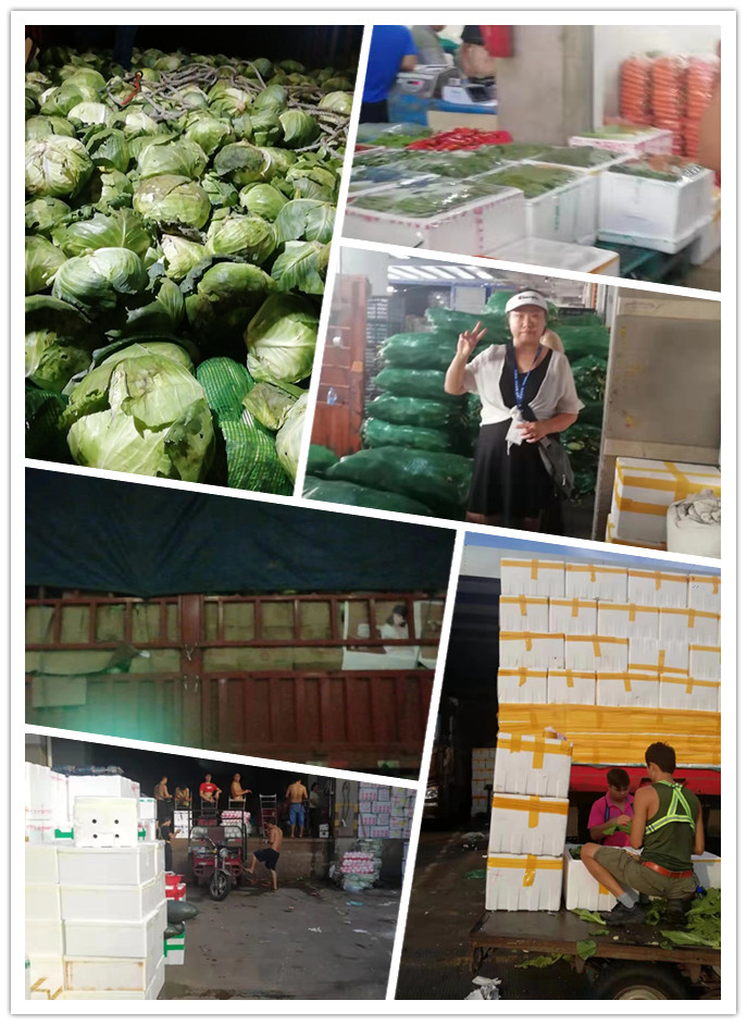 ��ҳ- �ڲ���������Ϊ��,רҵ����!