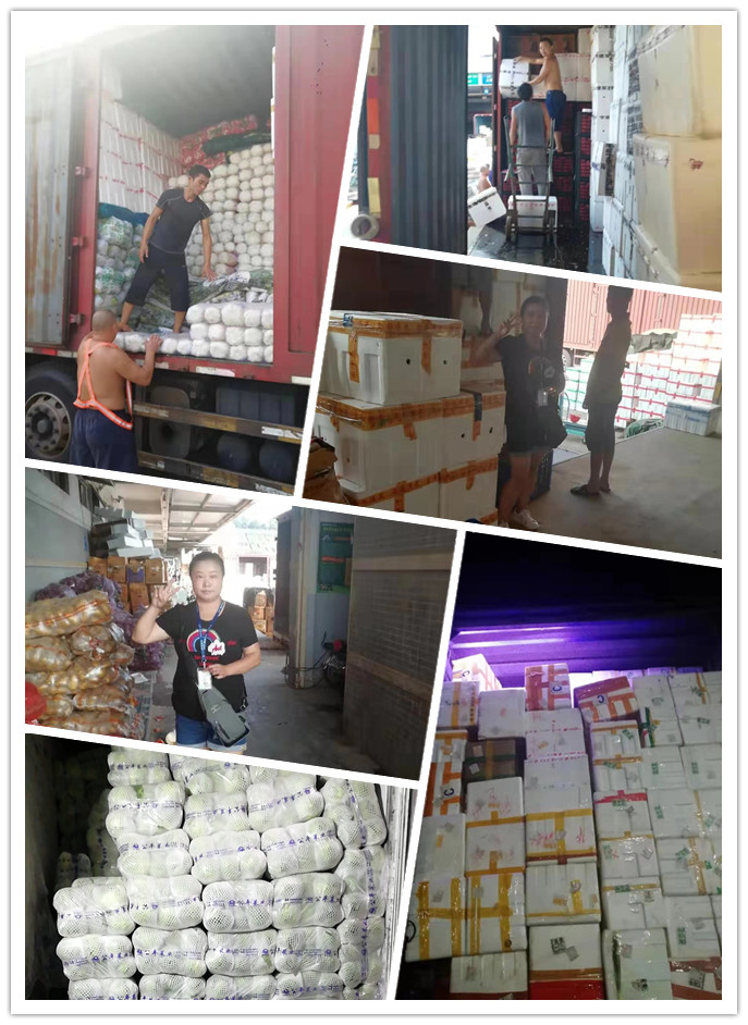 ��ҳ- �ڲ���������Ϊ��,רҵ����!