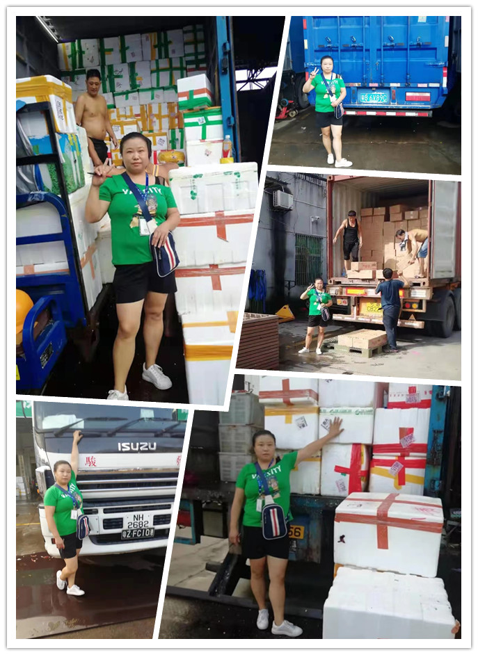 ��ҳ- �ڲ���������Ϊ��,רҵ����!