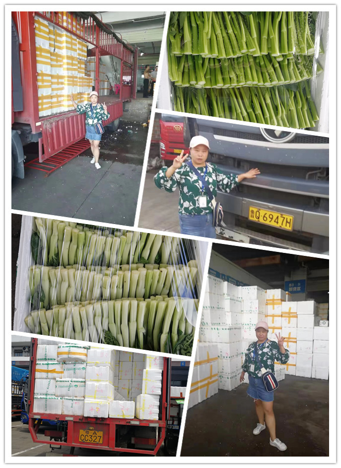 ��ҳ- �ڲ���������Ϊ��,רҵ����!