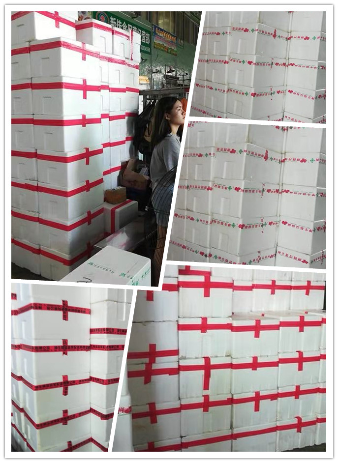 ��ҳ- �ڲ���������Ϊ��,רҵ����!