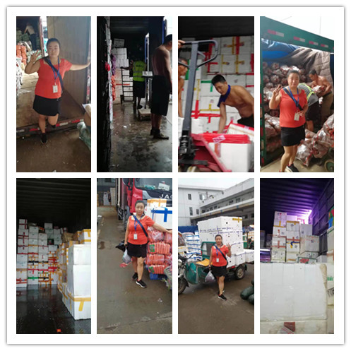 ��ҳ- �ڲ���������Ϊ��,רҵ����!