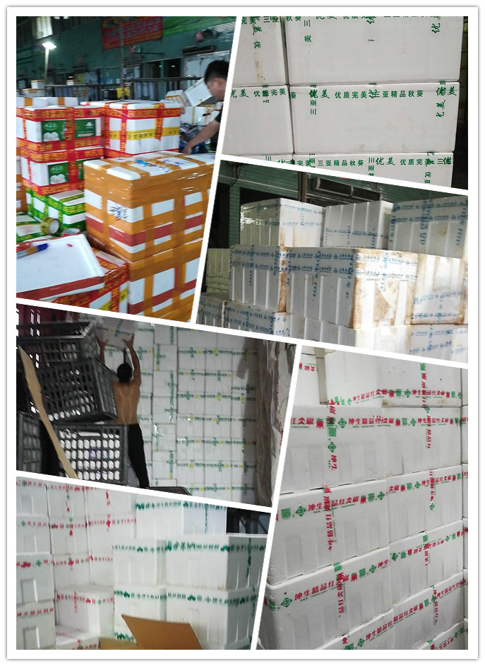 ��ҳ- �ڲ���������Ϊ��,רҵ����!