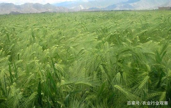 ��ҳ- �ڲ���������Ϊ��,רҵ����!