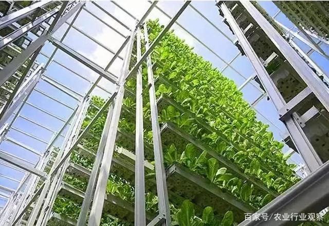 ��ҳ- �ڲ���������Ϊ��,רҵ����!