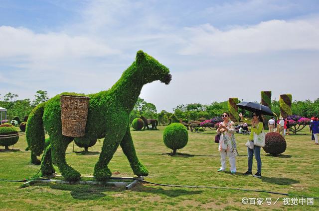 ��ҳ- �ڲ���������Ϊ��,רҵ����!