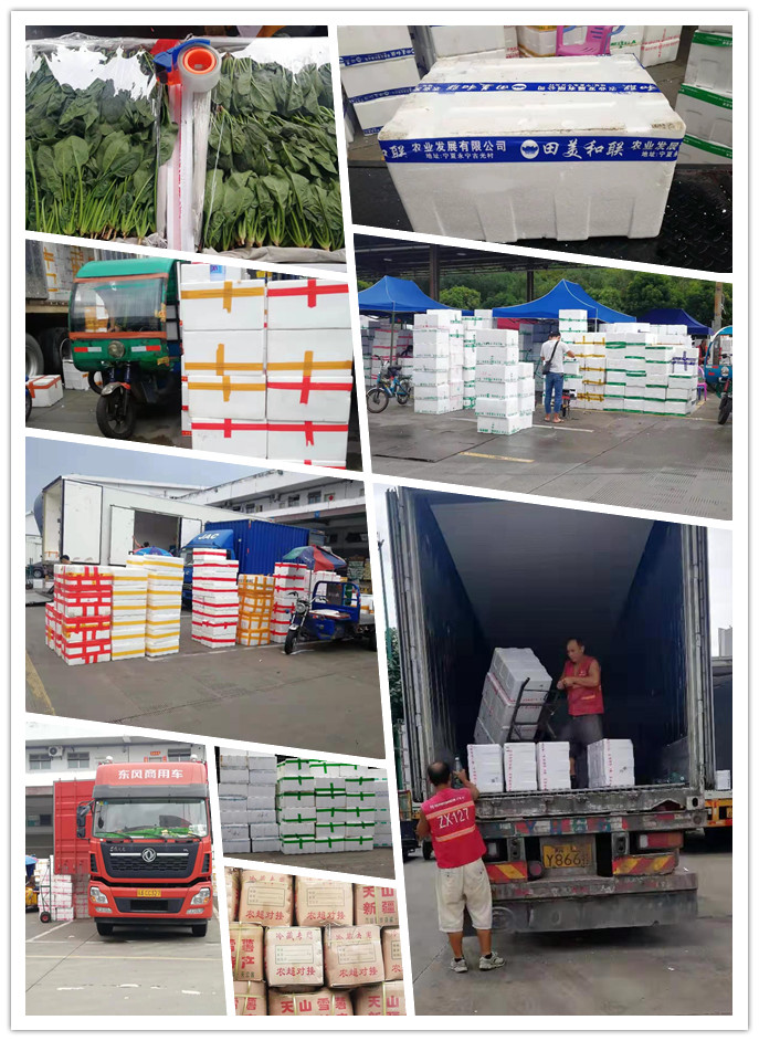 ��ҳ- �ڲ���������Ϊ��,רҵ����!