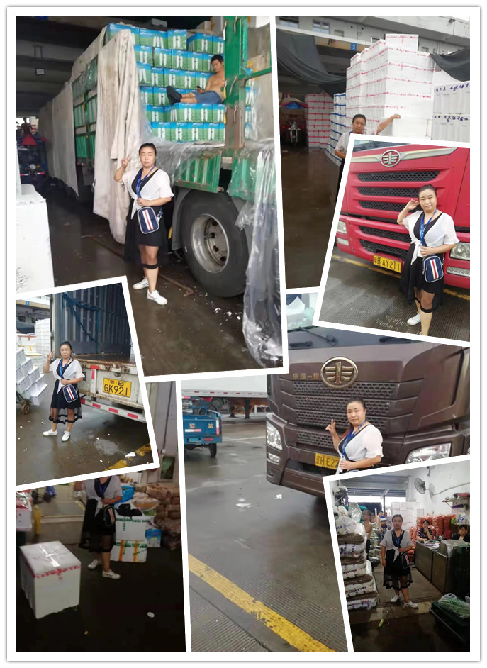 ��ҳ- �ڲ���������Ϊ��,רҵ����!