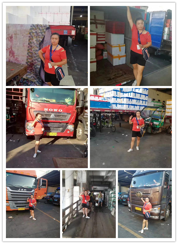 ��ҳ- �ڲ���������Ϊ��,רҵ����!