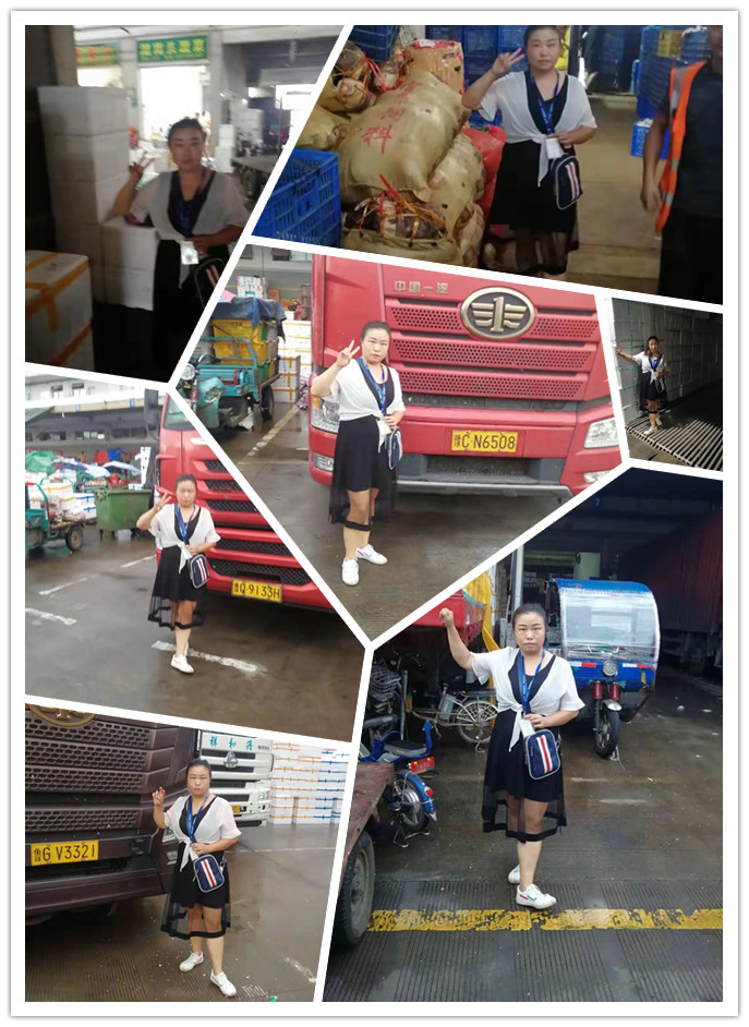 ��ҳ- �ڲ���������Ϊ��,רҵ����!