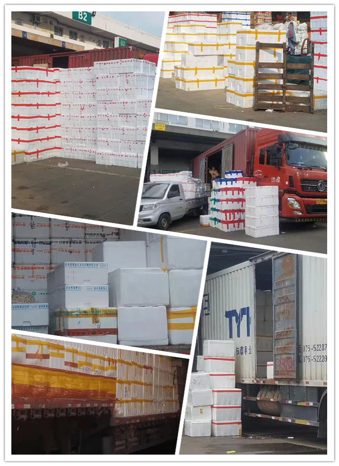 ��ҳ- �ڲ���������Ϊ��,רҵ����!