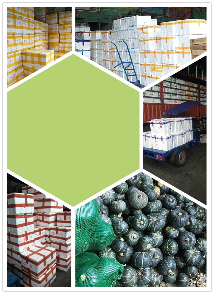 ��ҳ- �ڲ���������Ϊ��,רҵ����!