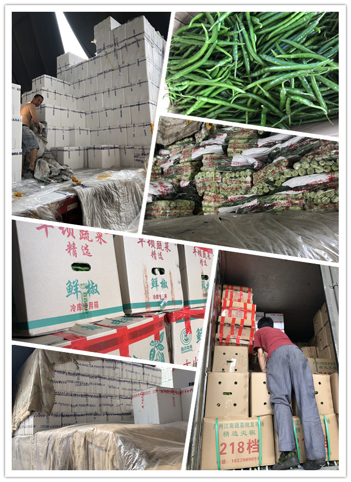 ��ҳ- �ڲ���������Ϊ��,רҵ����!