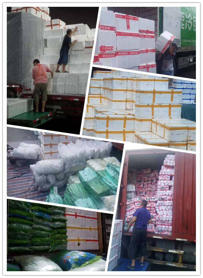 ��ҳ- �ڲ���������Ϊ��,רҵ����!