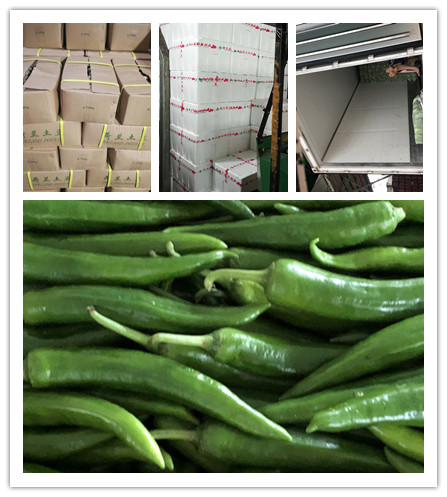 ��ҳ- �ڲ���������Ϊ��,רҵ����!