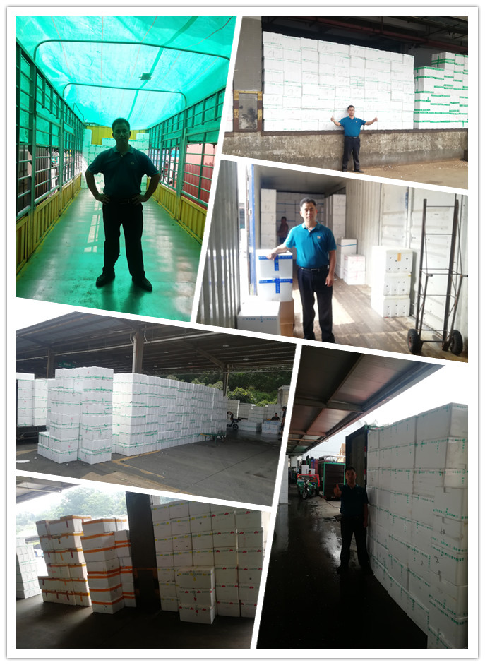 ��ҳ- �ڲ���������Ϊ��,רҵ����!