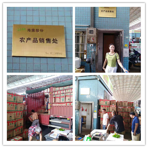 ��ҳ- �ڲ���������Ϊ��,רҵ����!