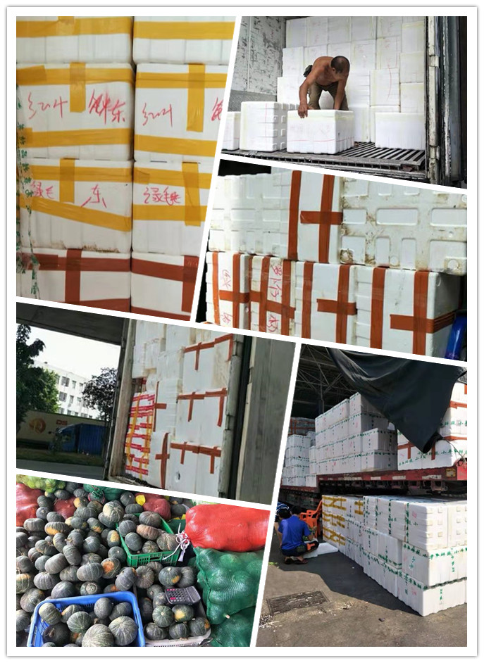 ��ҳ- �ڲ���������Ϊ��,רҵ����!