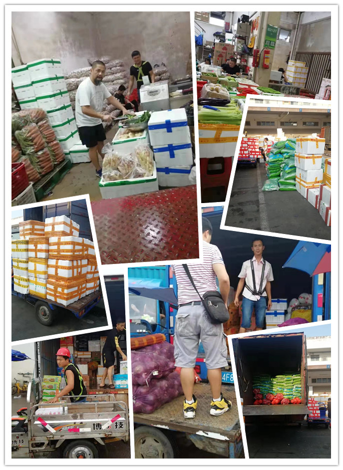 ��ҳ- �ڲ���������Ϊ��,רҵ����!