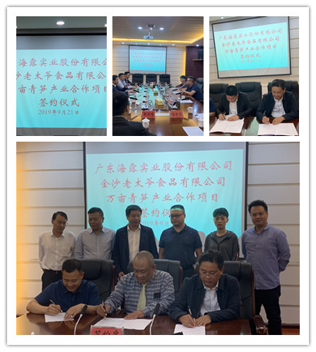 ��ҳ- �ڲ���������Ϊ��,רҵ����!