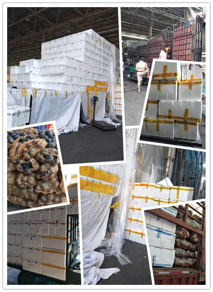 ��ҳ- �ڲ���������Ϊ��,רҵ����!