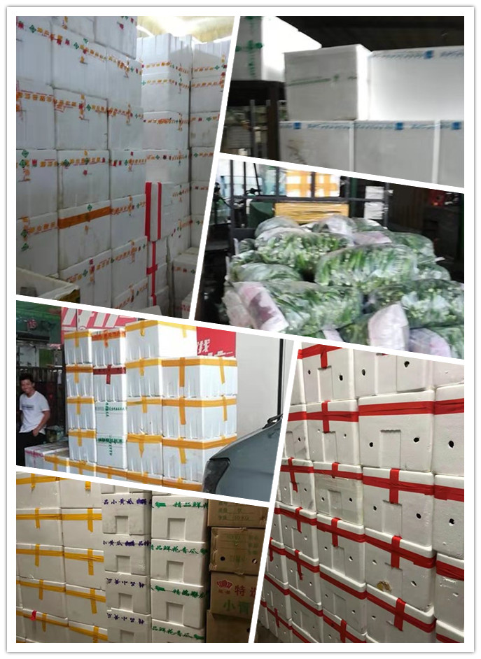 ��ҳ- �ڲ���������Ϊ��,רҵ����!